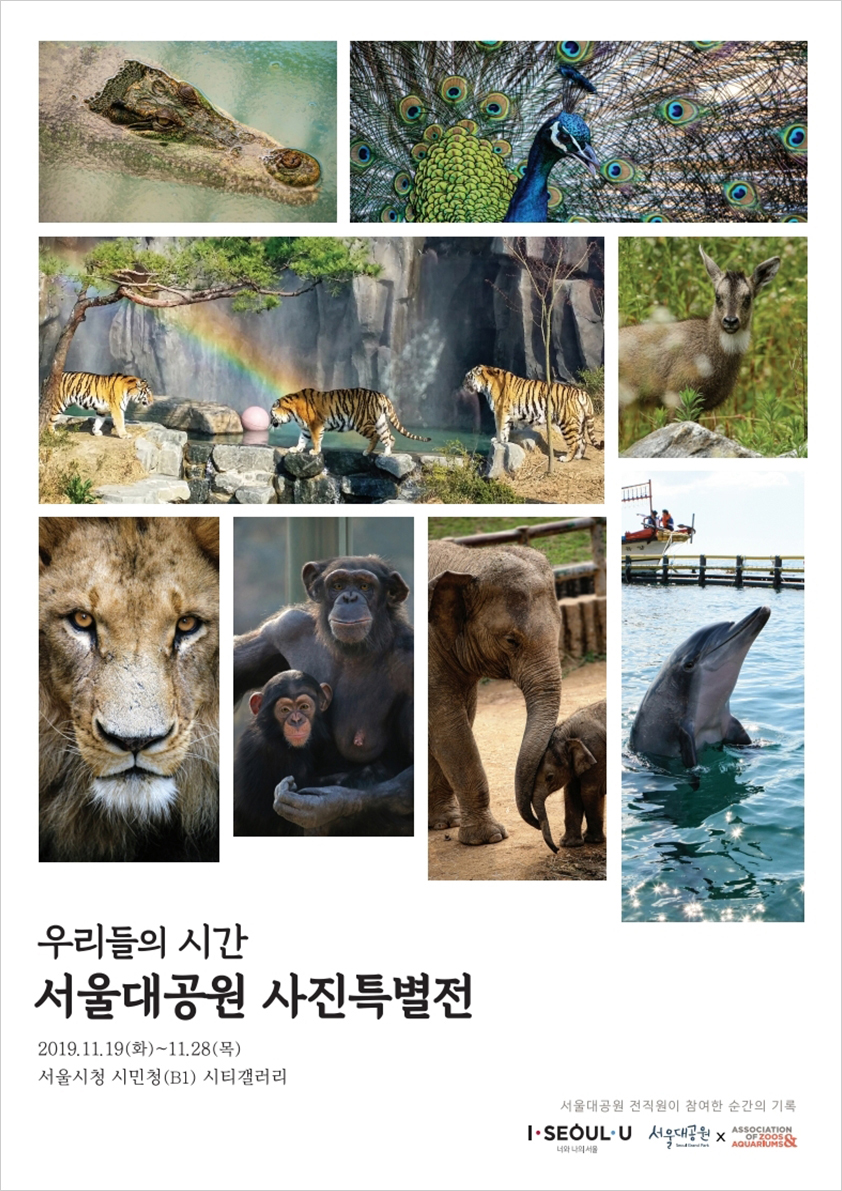 ‘우리들의 시간’ 서울대공원 사진특별전 포스터 이미지(상단 설명 참조)