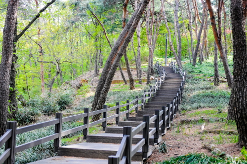 아차산생태공원 전경사진6