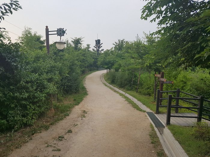 숲속산책길 사진3