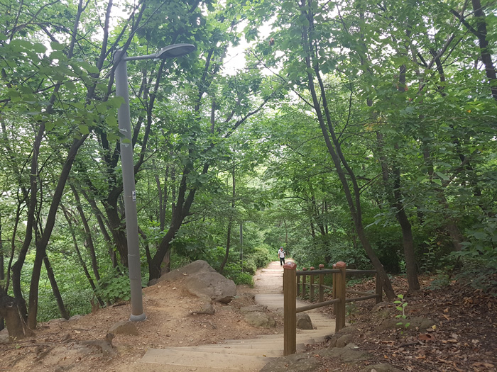 숲속산책길 사진2