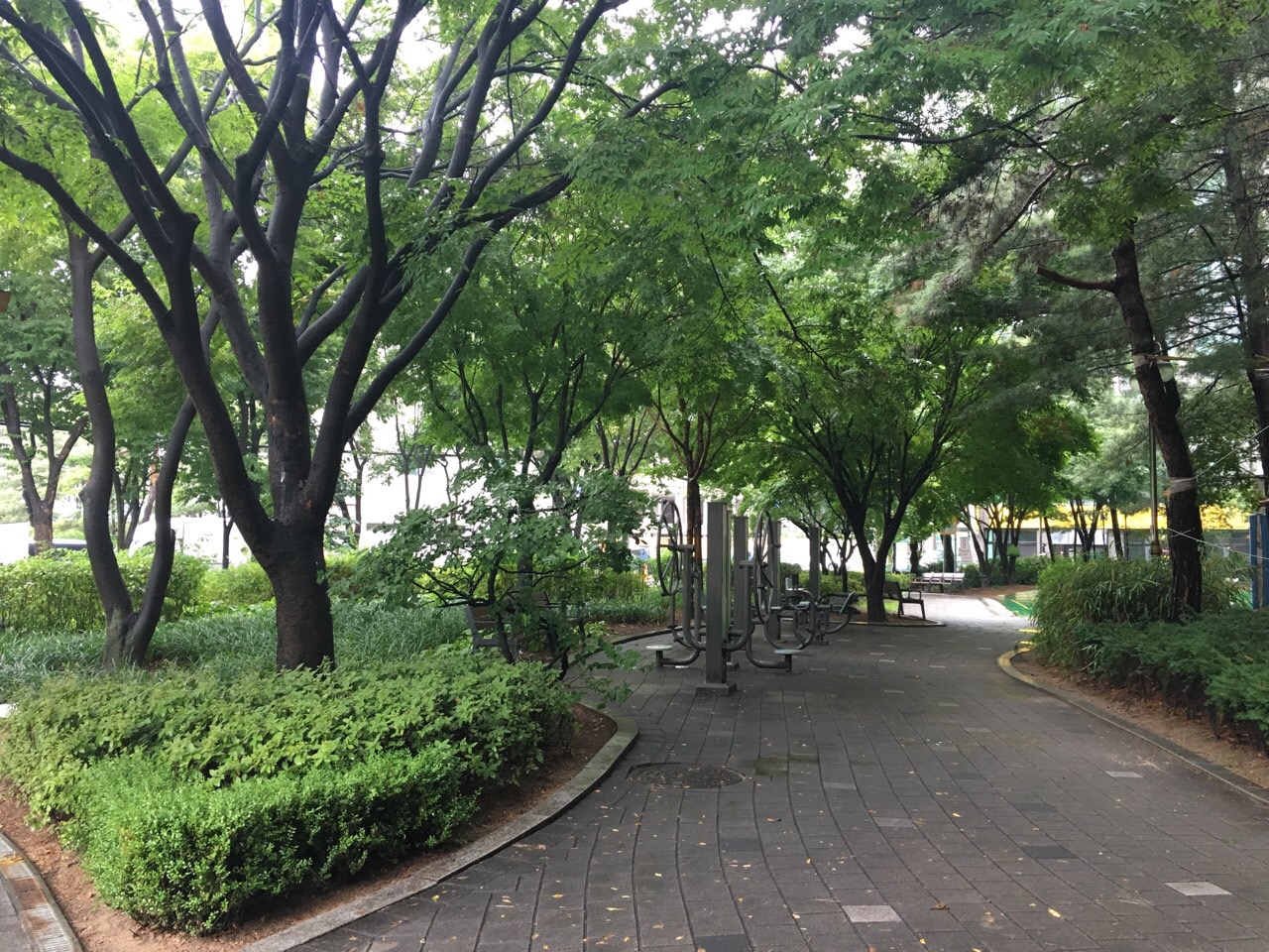 성수근린공원 운동시설