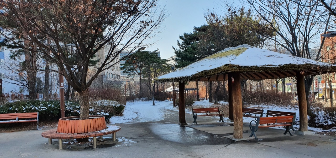 문정공원 겨울