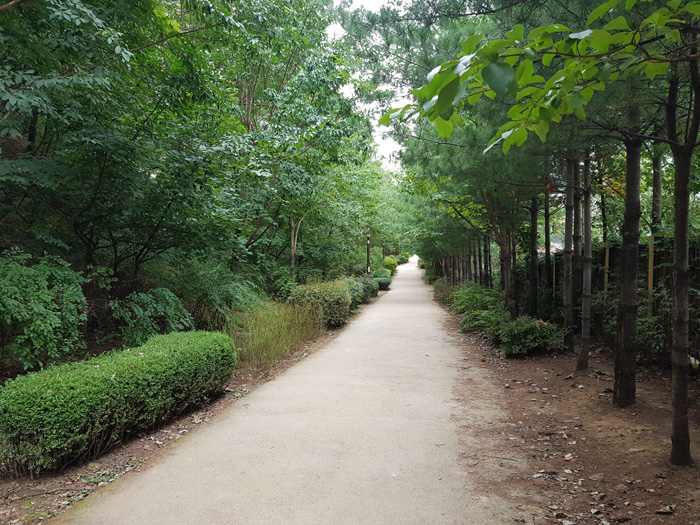 전경사진1