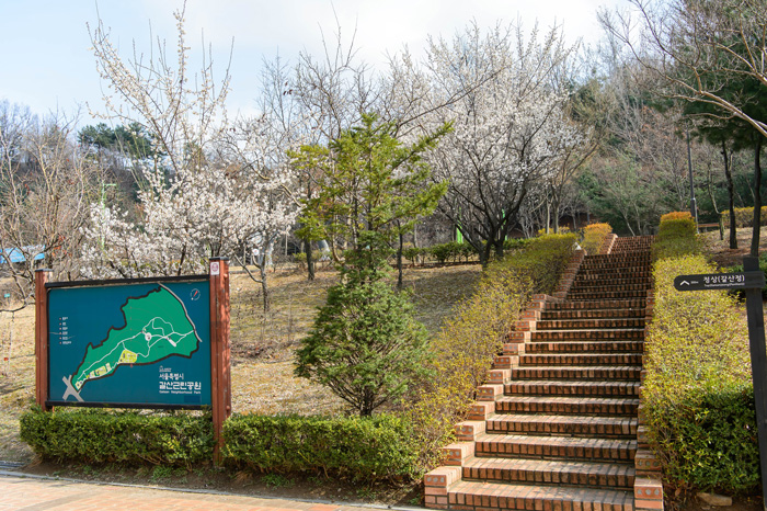 갈산근린공원 봄3