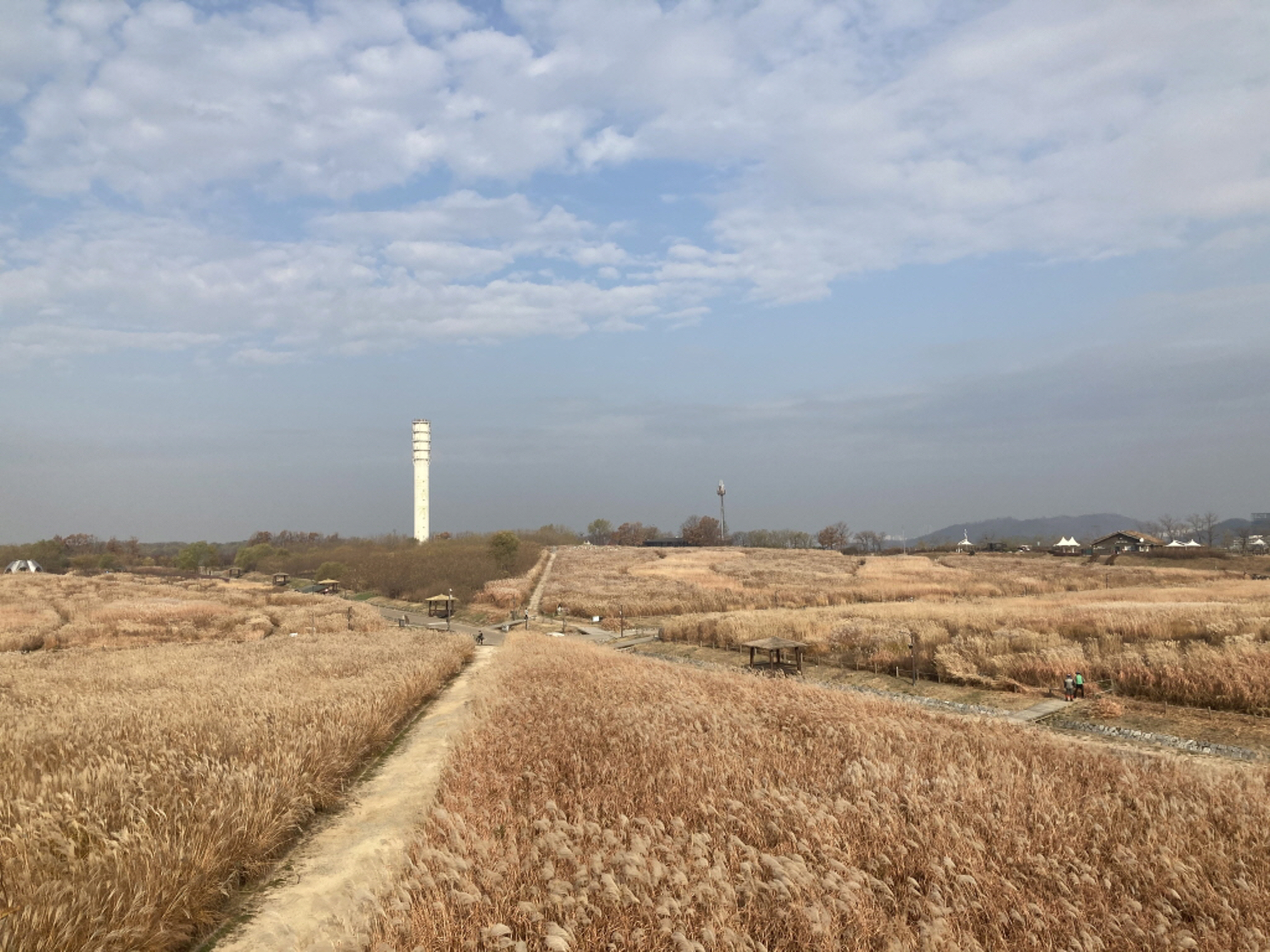 게시물 내 사진