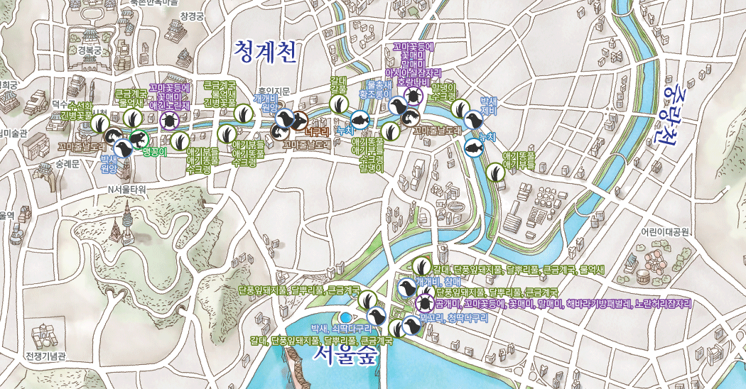청계천과 서울숲 삽화