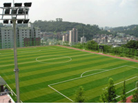 서대문구인조잔디구장 사진