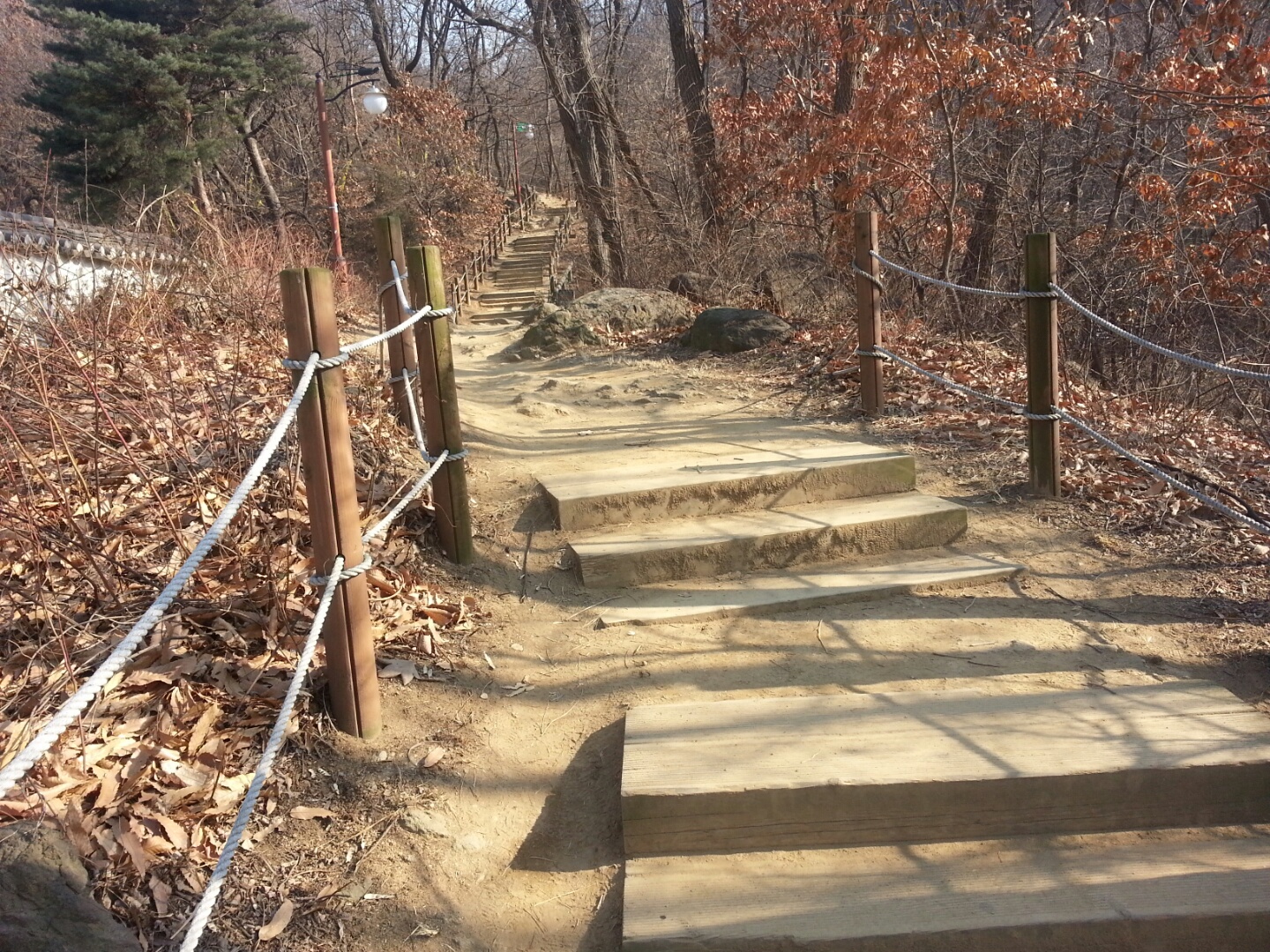 숲속산책길 사진