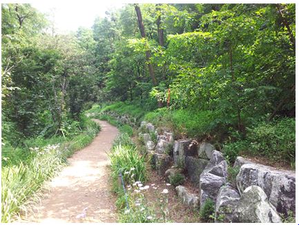 우면산도시자연공원