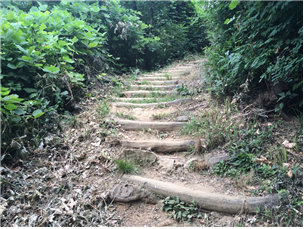 구룡산1