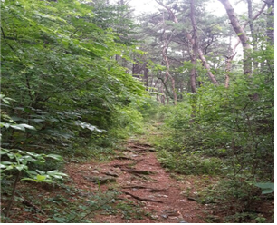인능산도시자연공원2