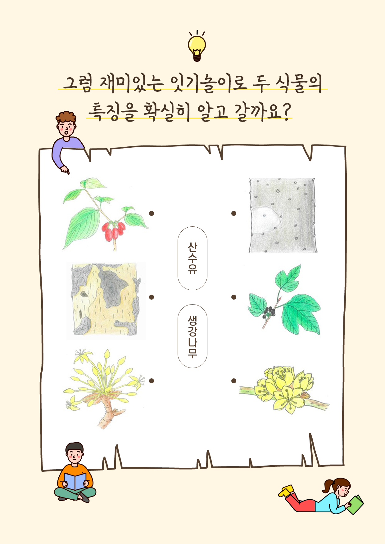 게시물 내 사진
