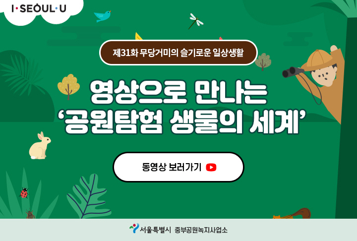 게시물 내 사진