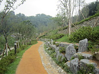 산책로 사진