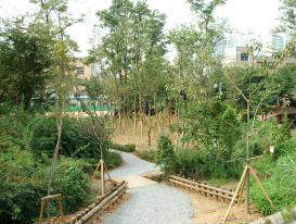 산책길