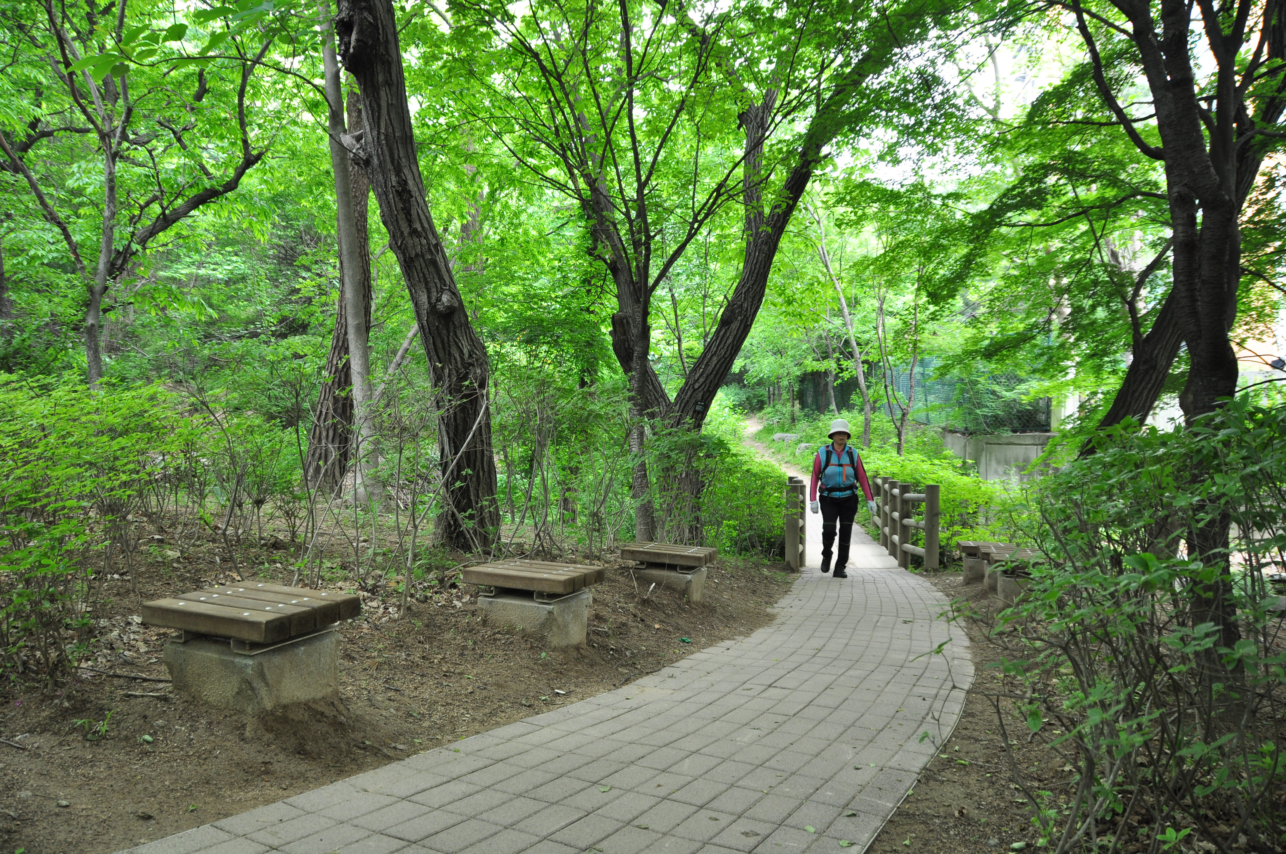 산책로 사진2