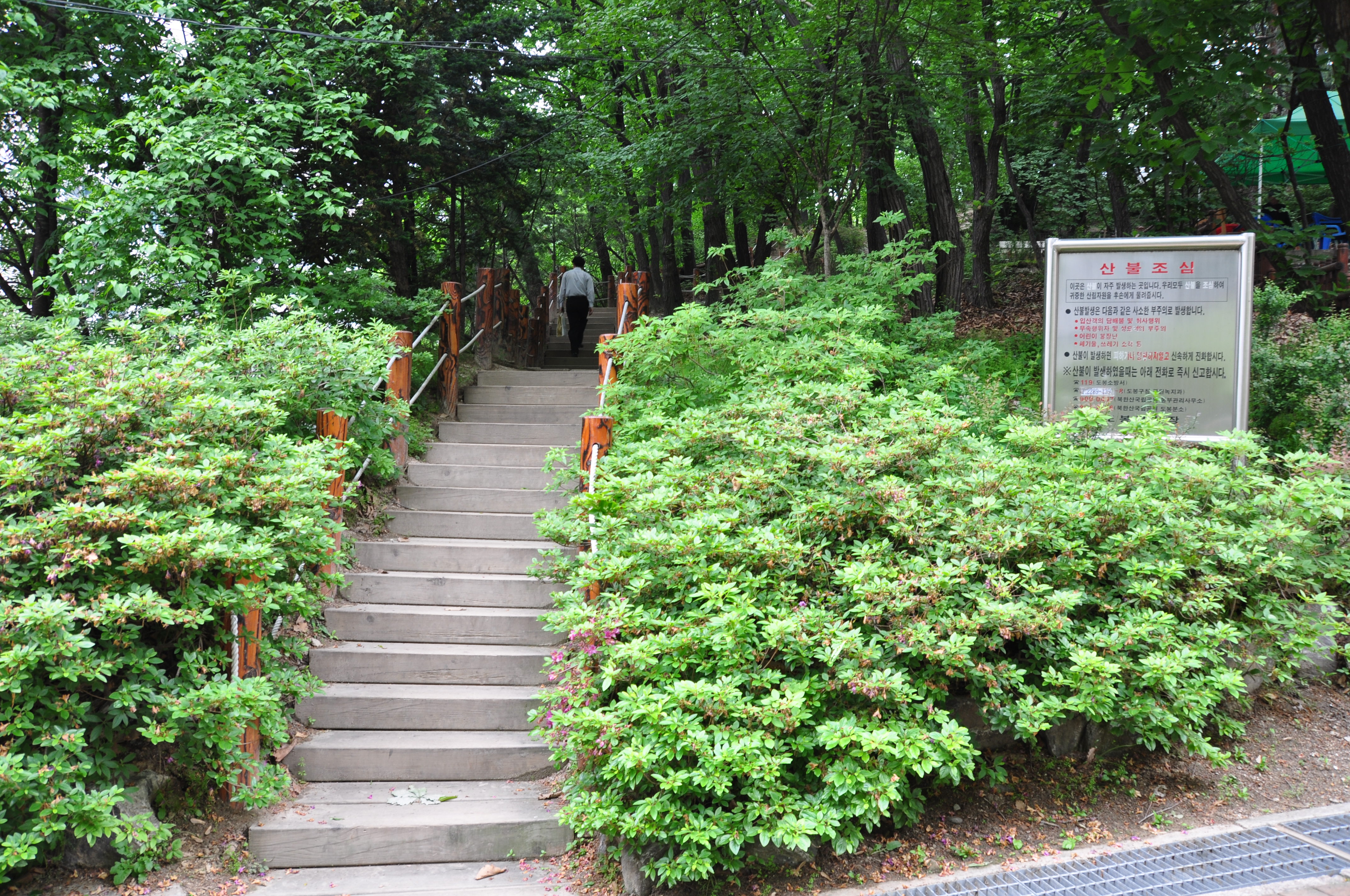산책로 사진3