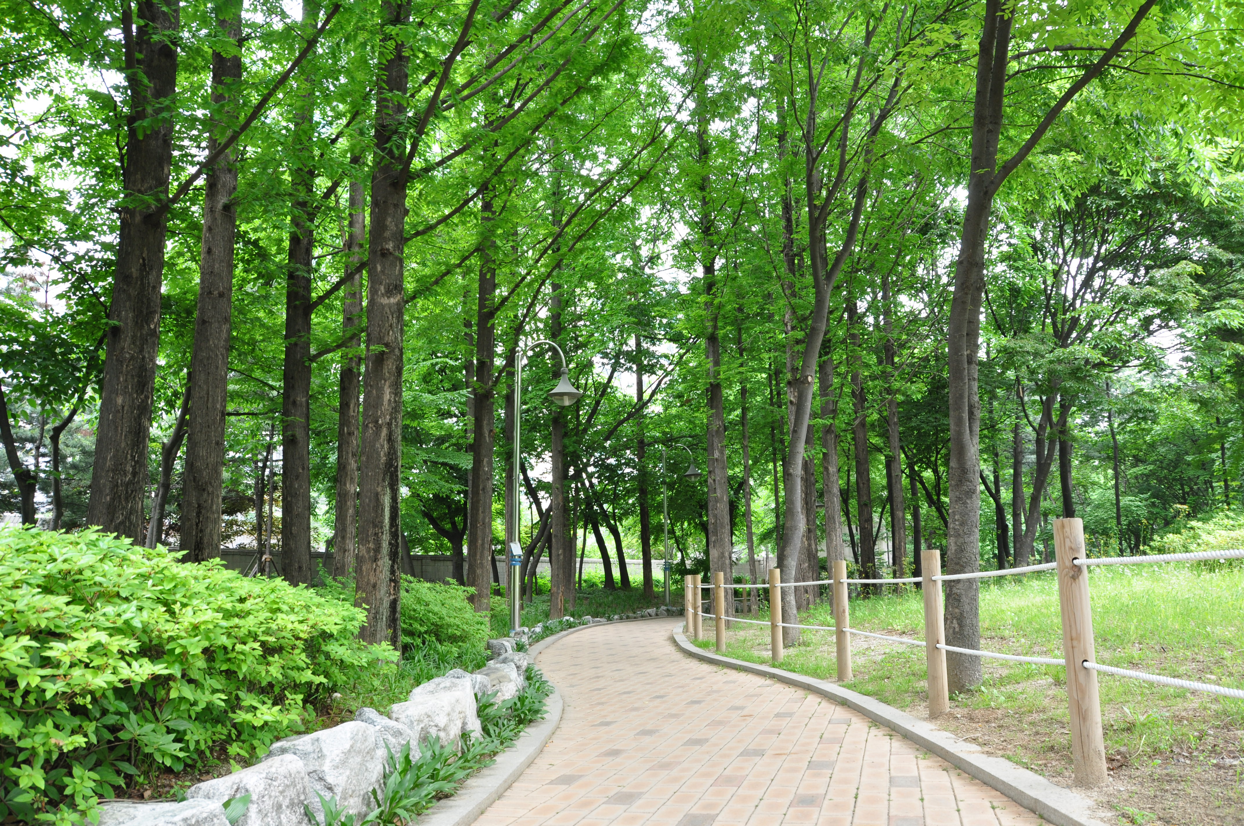 산책로 사진1