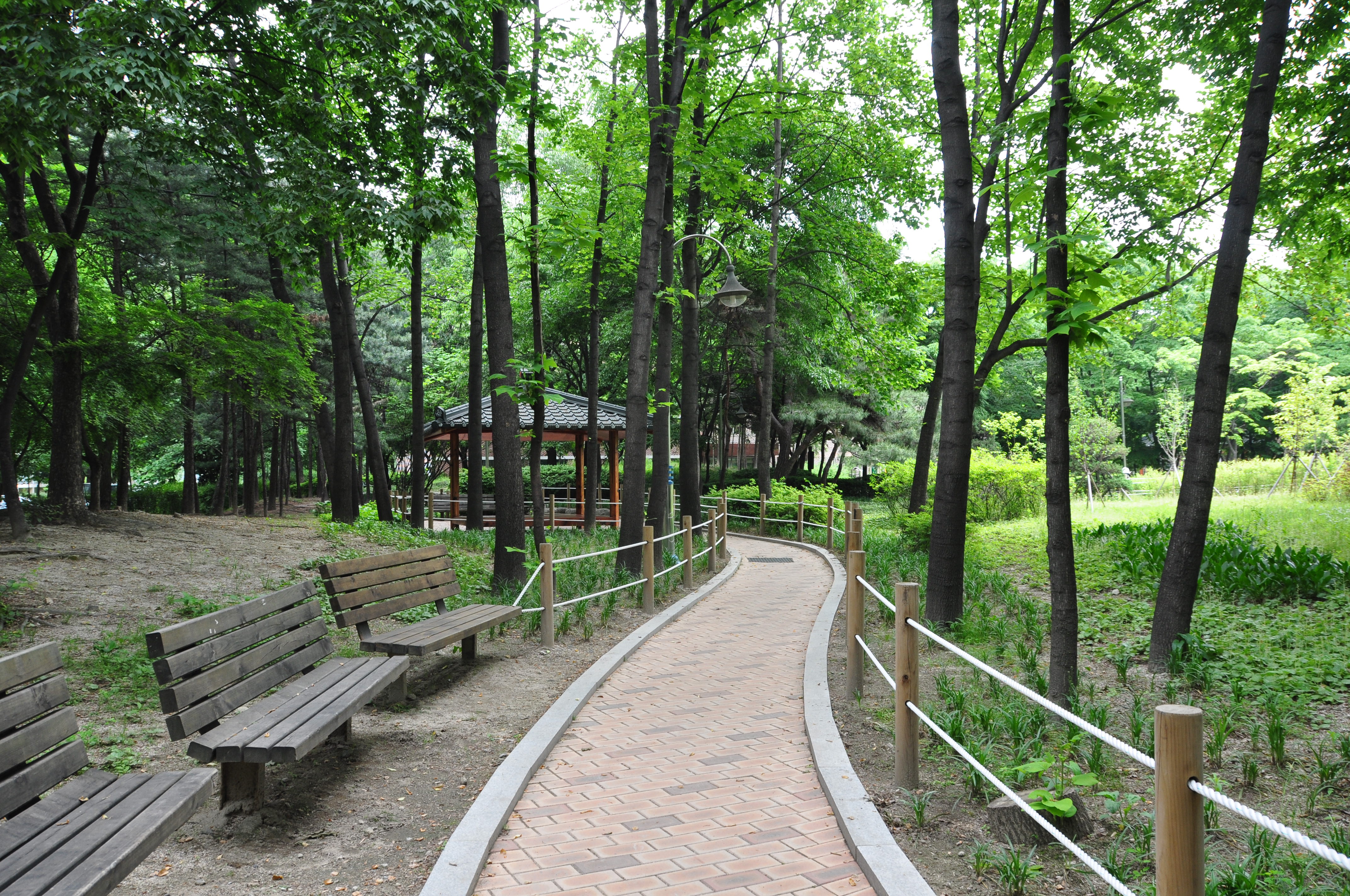 산책로 사진2