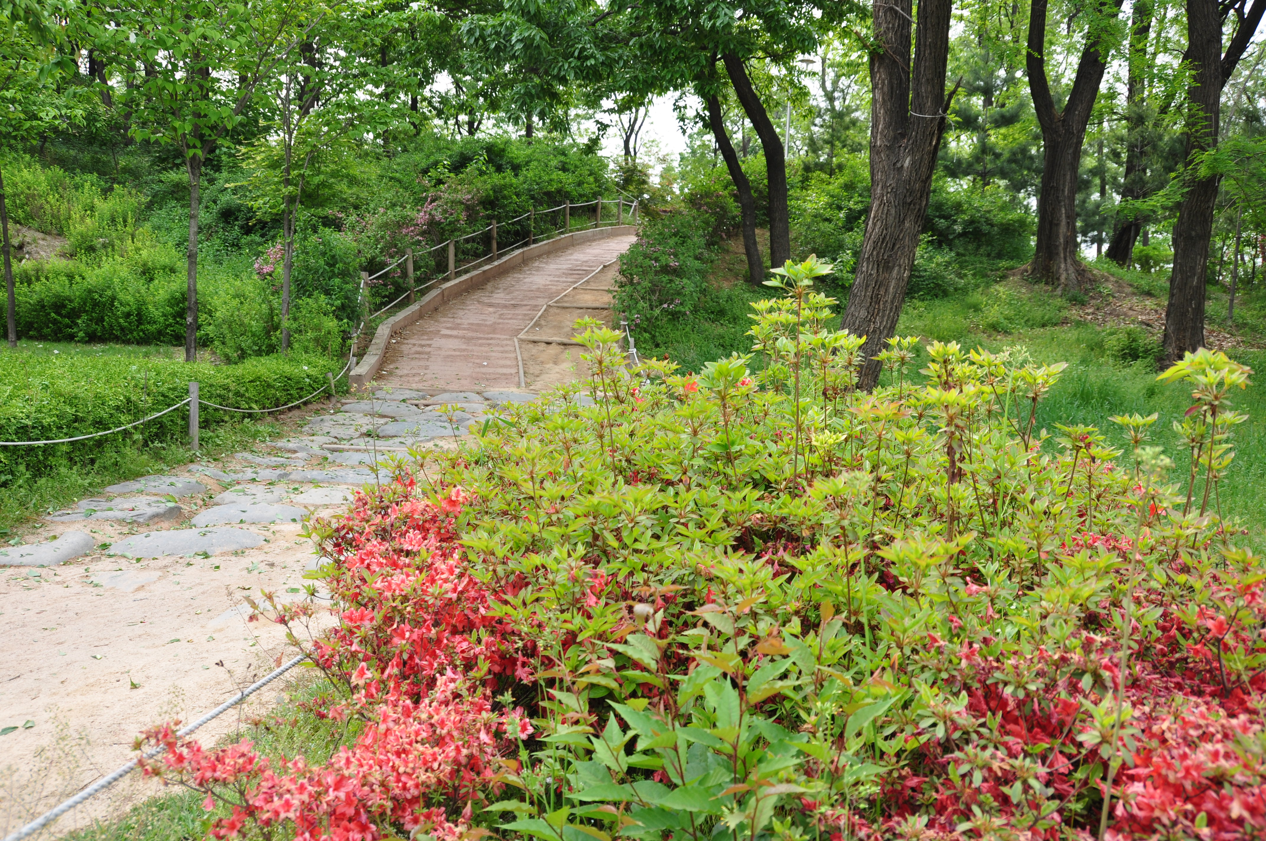 산책로 사진