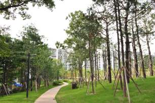 산책로 사진3