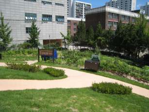 나눔텃밭 사진