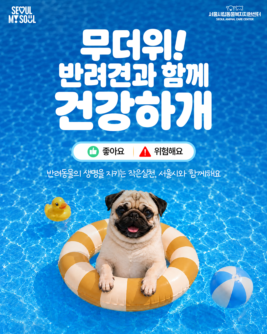 무더위 반려견과 함께 건강하게
