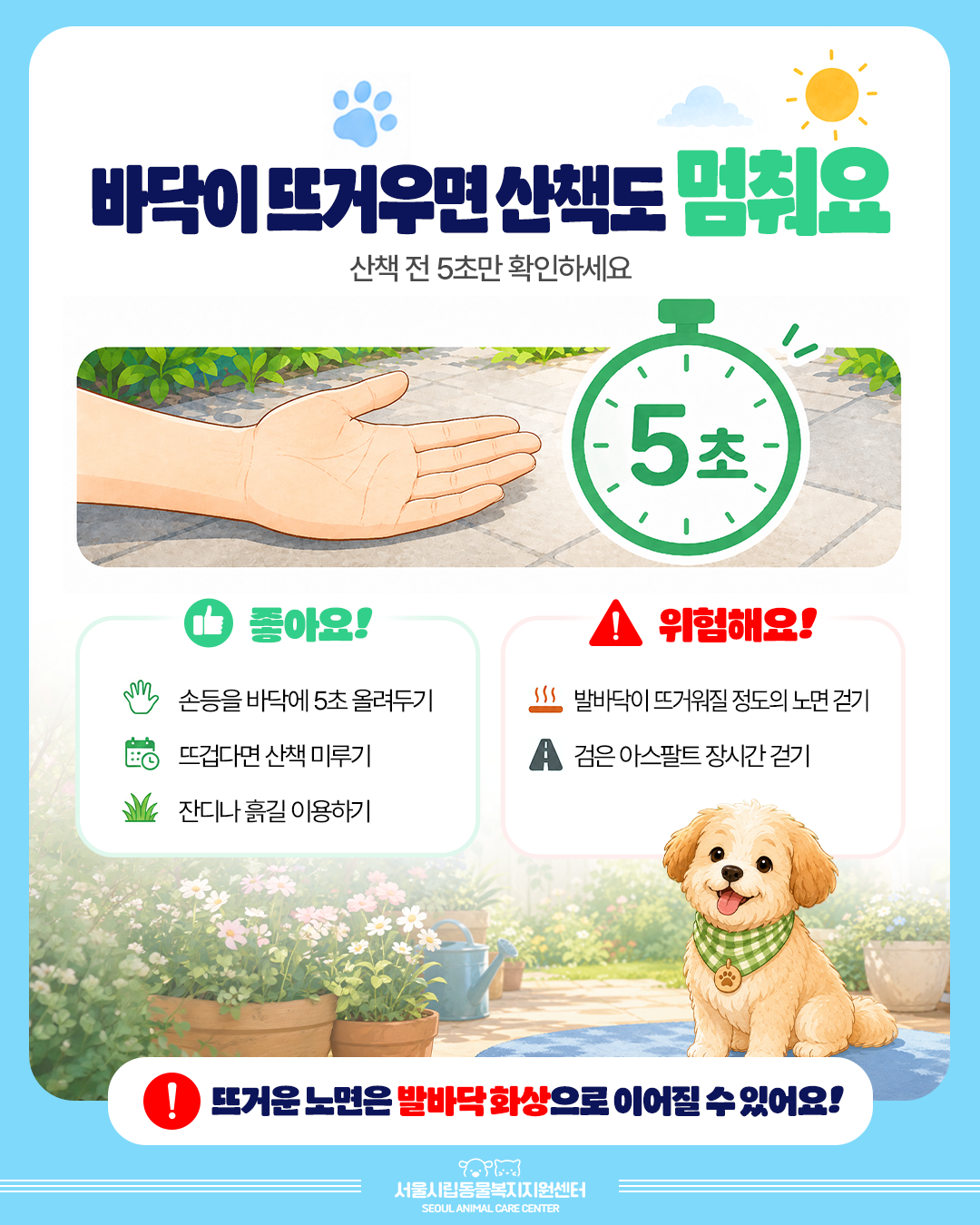 바닥이 뜨거우면 산책도 멈춰요