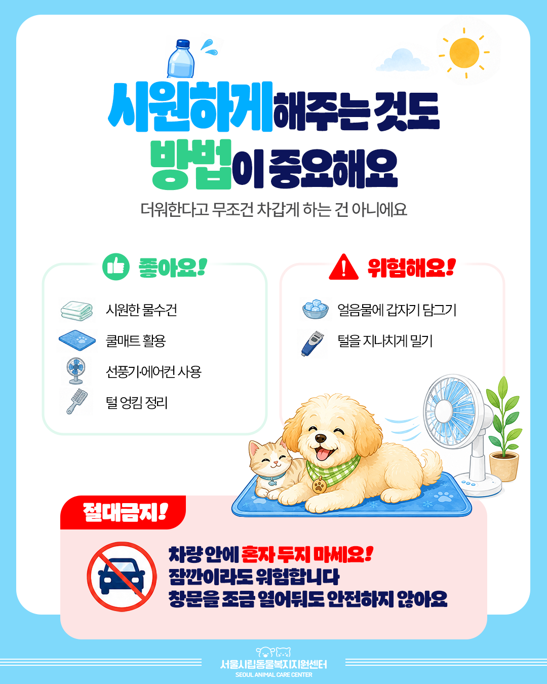 시원하게 해주는것도 방법이 중요해요