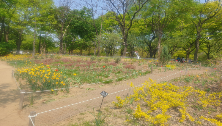 중앙호수 윈터 가든