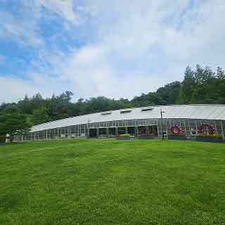 강서구 푸른수목원 잔디마당