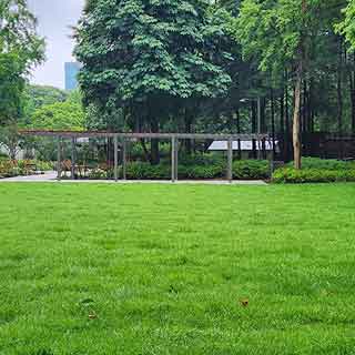 서초구 매헌시민의숲