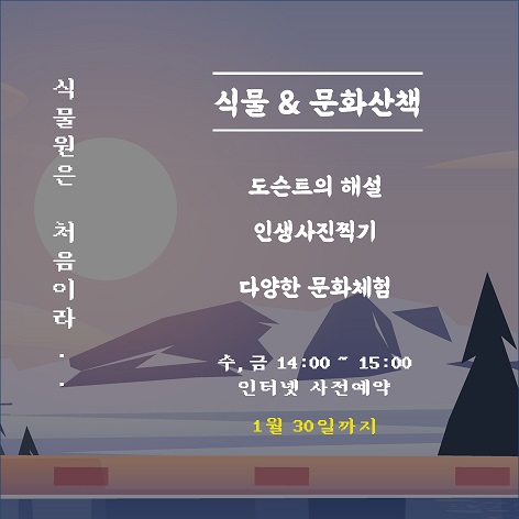 게시물 내 사진