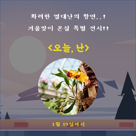 게시물 내 사진