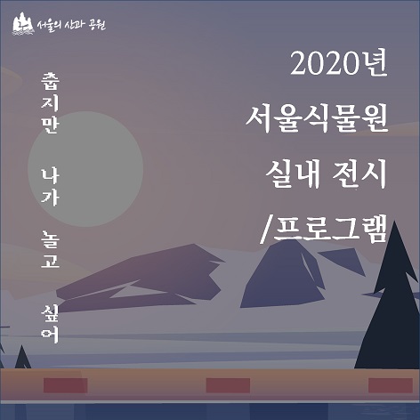 게시물 내 사진
