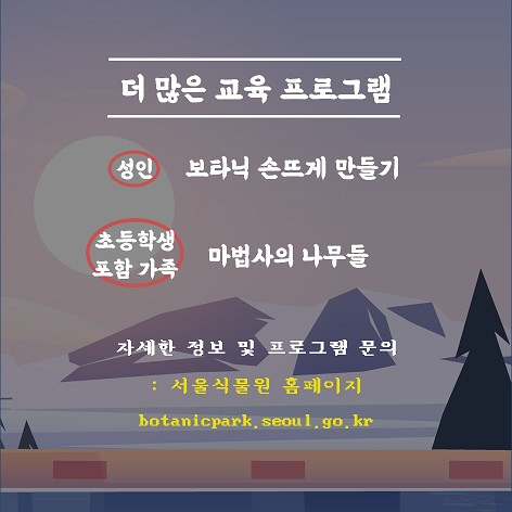 게시물 내 사진
