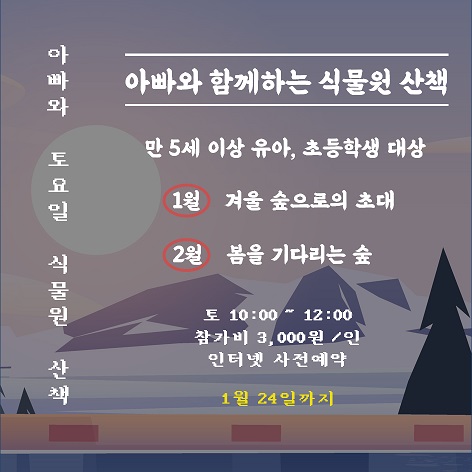 게시물 내 사진