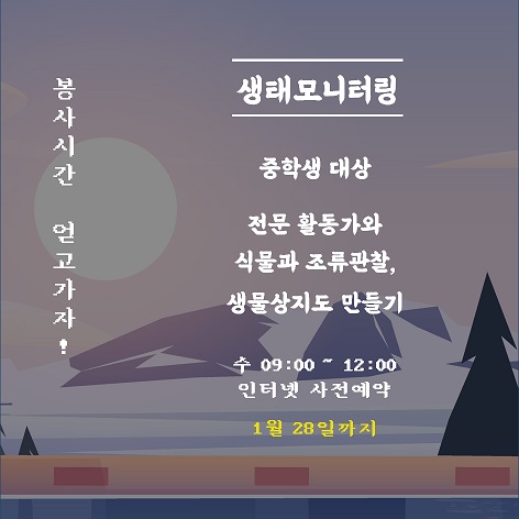 게시물 내 사진