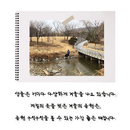 게시물 내 사진