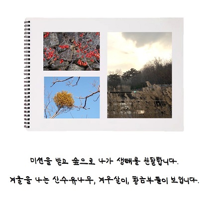 게시물 내 사진