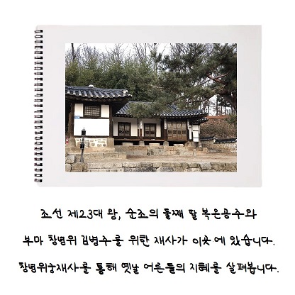 게시물 내 사진