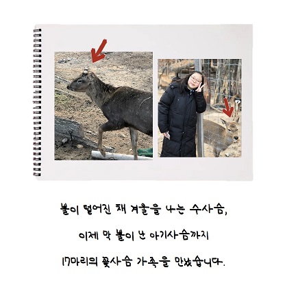 게시물 내 사진