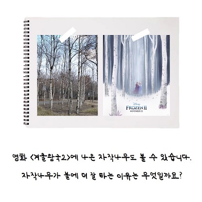 게시물 내 사진