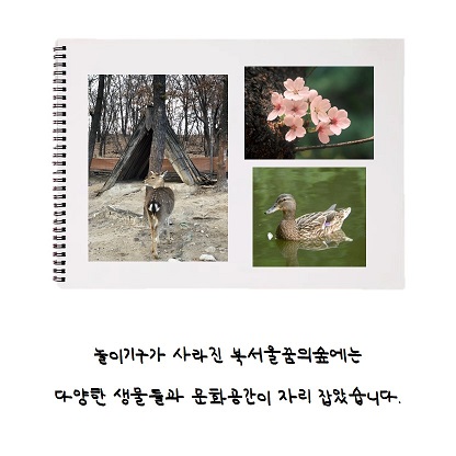 게시물 내 사진