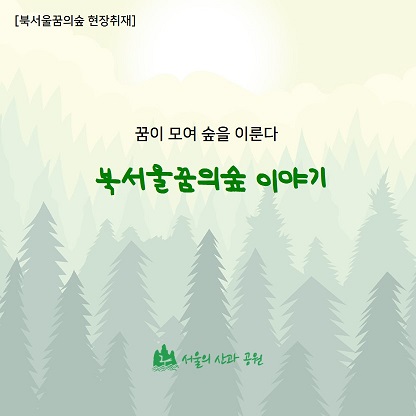 게시물 내 사진