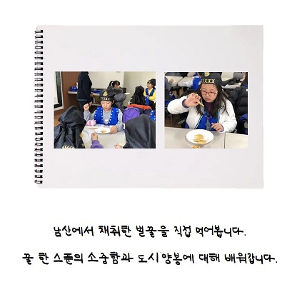 게시물 내 사진
