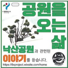 게시물 내 사진