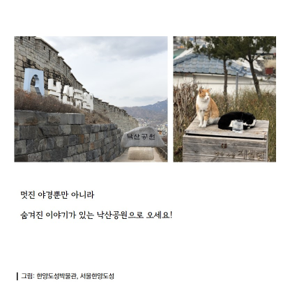 게시물 내 사진