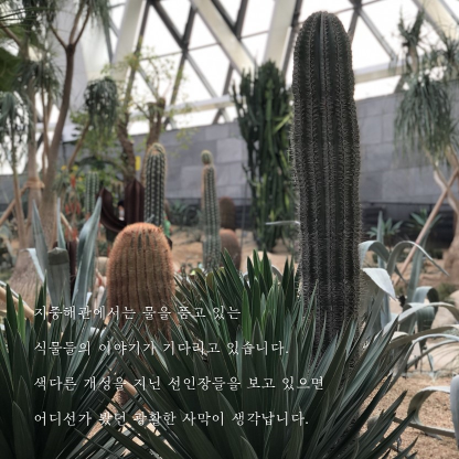 게시물 내 사진