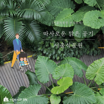 게시물 내 사진